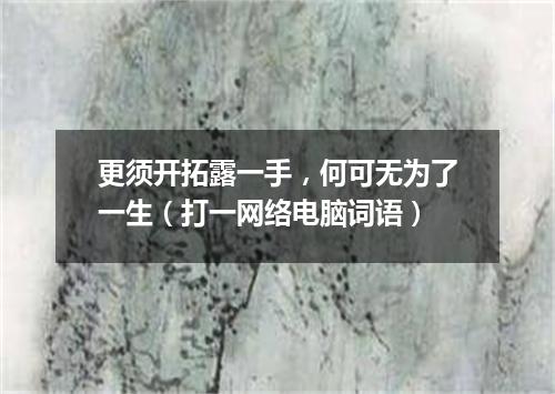 更须开拓露一手，何可无为了一生（打一网络电脑词语）
