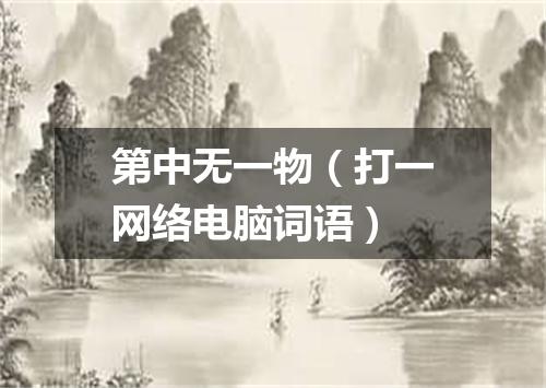 第中无一物（打一网络电脑词语）