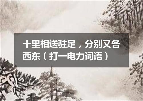 十里相送驻足，分别又各西东（打一电力词语）