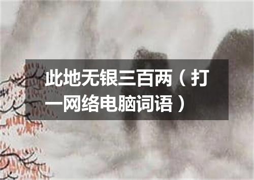 此地无银三百两（打一网络电脑词语）