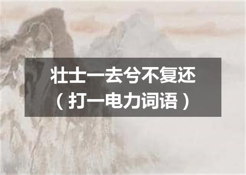 壮士一去兮不复还（打一电力词语）