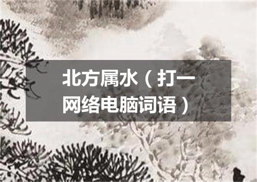 北方属水（打一网络电脑词语）