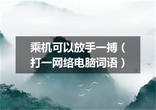 乘机可以放手一搏（打一网络电脑词语）