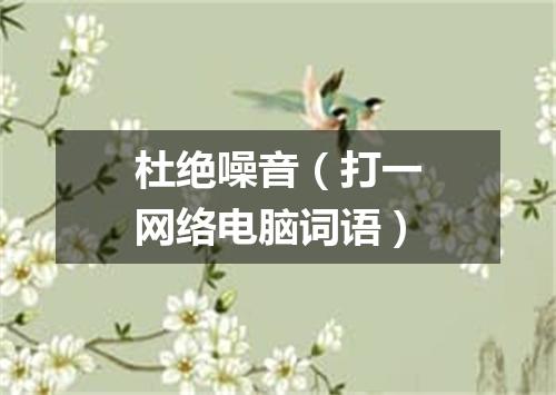 杜绝噪音（打一网络电脑词语）