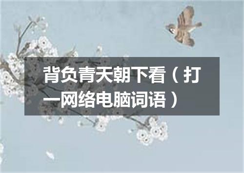 背负青天朝下看（打一网络电脑词语）