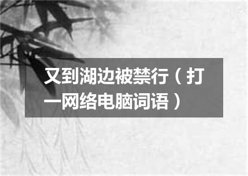 又到湖边被禁行（打一网络电脑词语）
