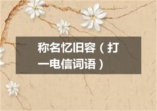 称名忆旧容（打一电信词语）