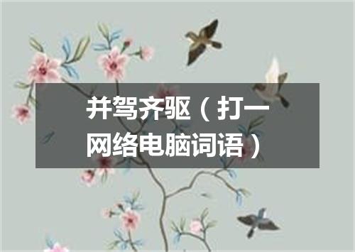 并驾齐驱（打一网络电脑词语）