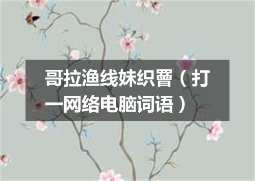 哥拉渔线妹织罾（打一网络电脑词语）