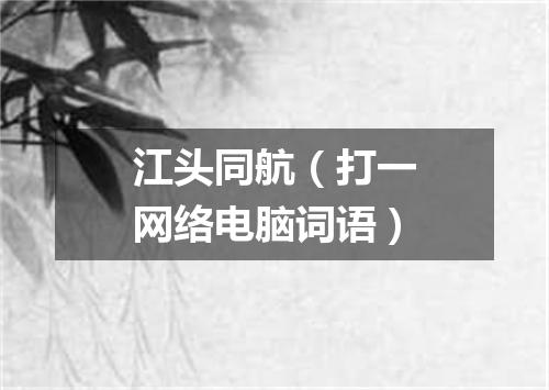 江头同航（打一网络电脑词语）