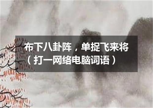 布下八卦阵，单捉飞来将（打一网络电脑词语）
