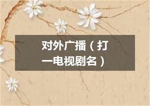 对外广播（打一电视剧名）