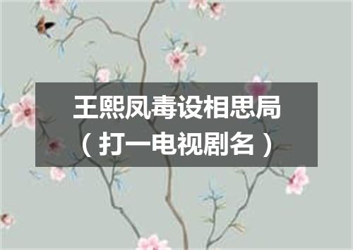 王熙凤毒设相思局（打一电视剧名）