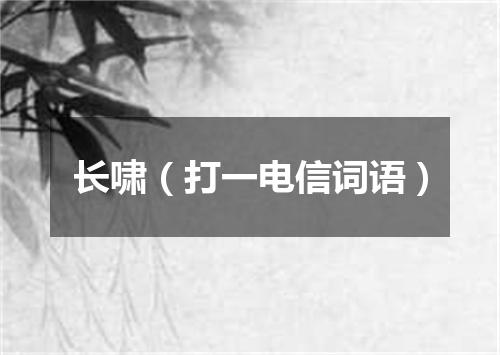 长啸（打一电信词语）