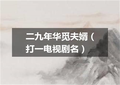 二九年华觅夫婿（打一电视剧名）
