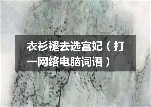 衣衫褪去选宫妃（打一网络电脑词语）