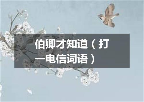 伯卿才知道（打一电信词语）
