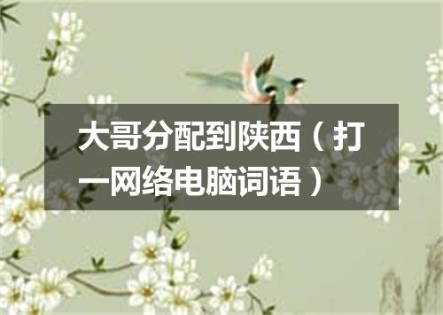 大哥分配到陕西（打一网络电脑词语）