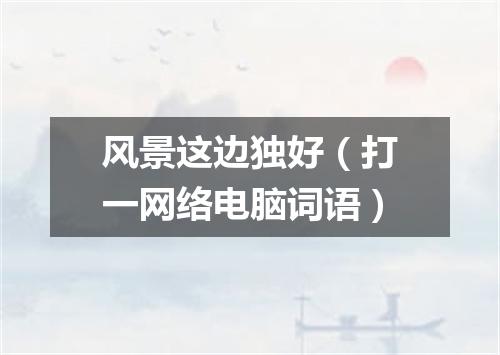 风景这边独好（打一网络电脑词语）
