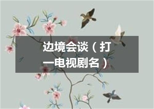 边境会谈（打一电视剧名）
