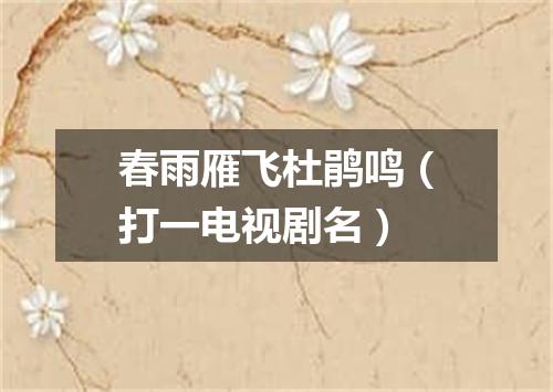 春雨雁飞杜鹃鸣（打一电视剧名）