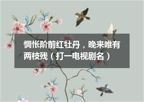 惆怅阶前红牡丹，晚来唯有两枝残（打一电视剧名）