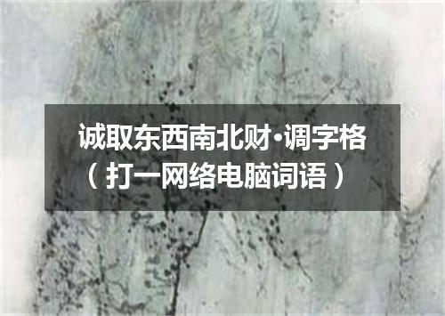 诚取东西南北财·调字格（打一网络电脑词语）