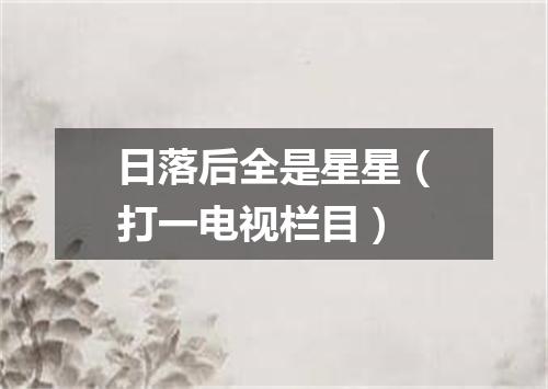 日落后全是星星（打一电视栏目）