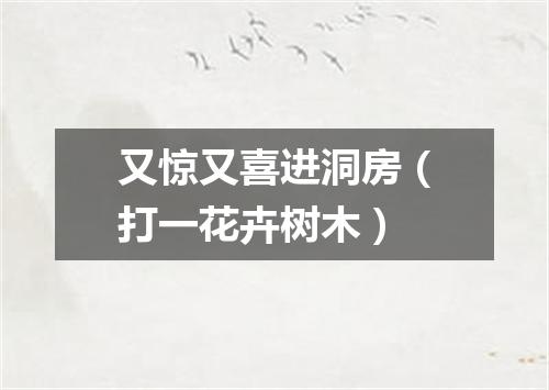 又惊又喜进洞房（打一花卉树木）
