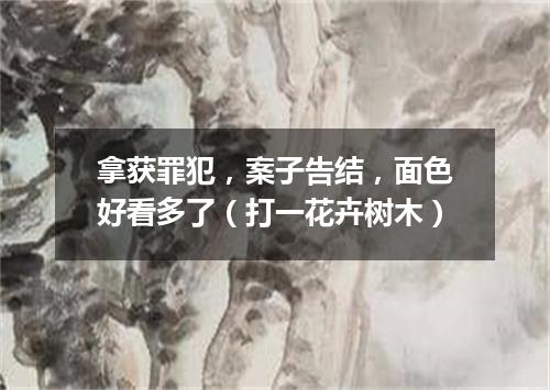 拿获罪犯，案子告结，面色好看多了（打一花卉树木）