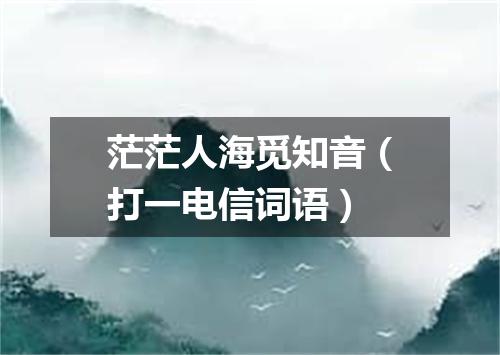 茫茫人海觅知音（打一电信词语）