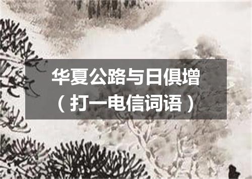 华夏公路与日俱增（打一电信词语）