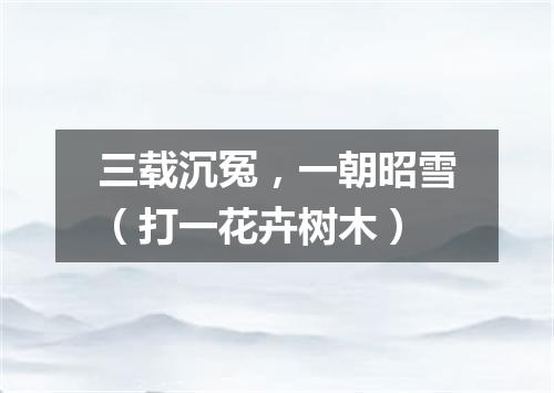 三载沉冤，一朝昭雪（打一花卉树木）