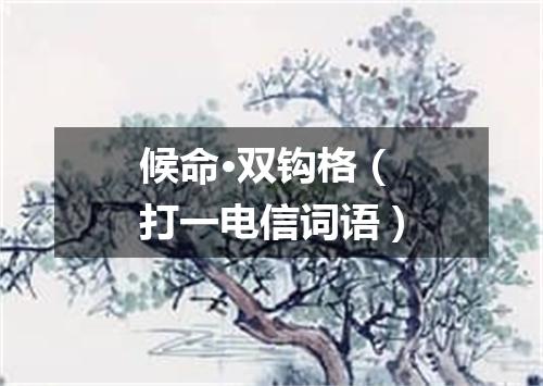 候命·双钩格（打一电信词语）