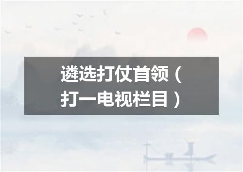 遴选打仗首领（打一电视栏目）