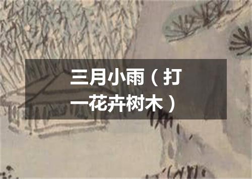 三月小雨（打一花卉树木）