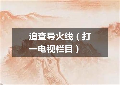 追查导火线（打一电视栏目）