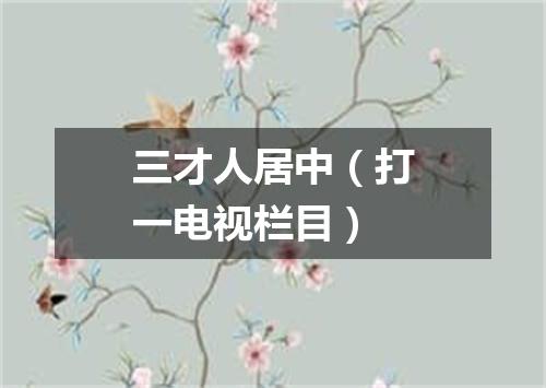 三才人居中（打一电视栏目）