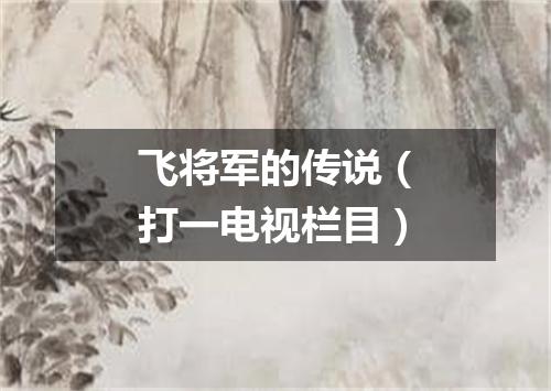 飞将军的传说（打一电视栏目）