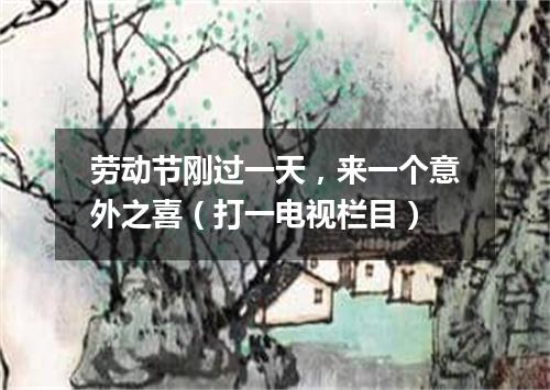 劳动节刚过一天，来一个意外之喜（打一电视栏目）