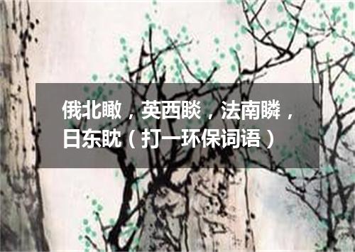 俄北瞰，英西睒，法南瞵，日东眈（打一环保词语）