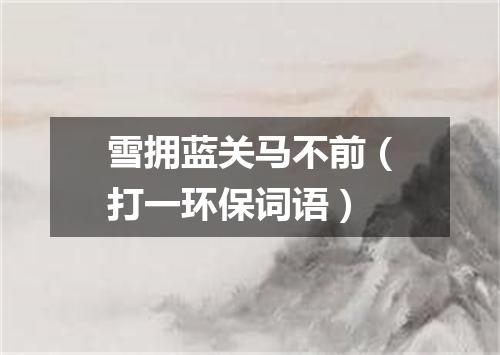 雪拥蓝关马不前（打一环保词语）