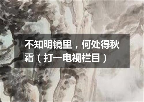 不知明镜里，何处得秋霜（打一电视栏目）