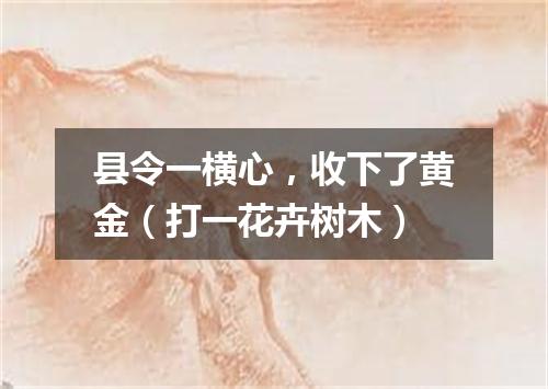 县令一横心，收下了黄金（打一花卉树木）
