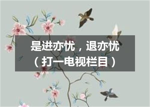 是进亦忧，退亦忧（打一电视栏目）