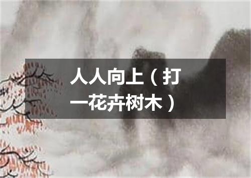 人人向上（打一花卉树木）