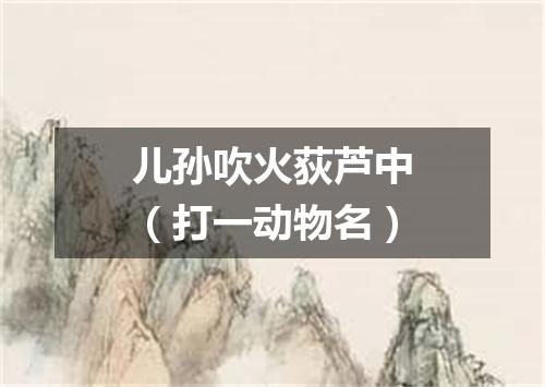 儿孙吹火荻芦中（打一动物名）