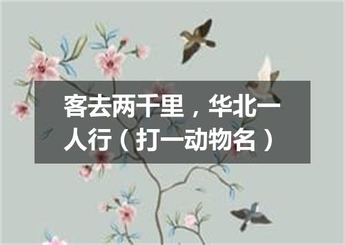客去两千里，华北一人行（打一动物名）