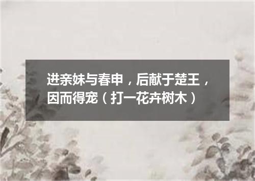 进亲妹与春申，后献于楚王，因而得宠（打一花卉树木）
