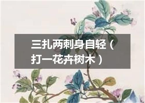 三扎两刺身自轻（打一花卉树木）